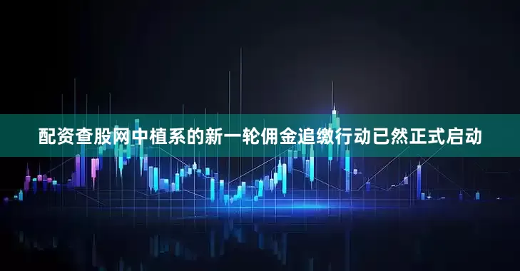 配资查股网中植系的新一轮佣金追缴行动已然正式启动
